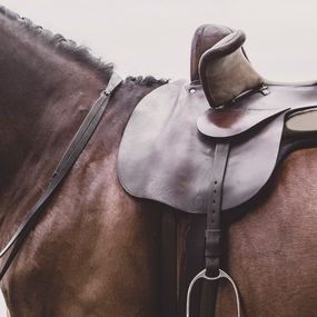 Photography, Side Saddle, The Equestrienne, Amrita Bilimoria