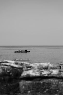 Photographie, Shy, Thierry Despeghel