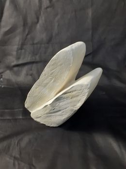 Sculpture, Ailes de libellule, Nao Kaneko