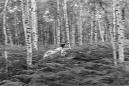 Photography, La lune n'a rien à craindre des loups #23, VAM / Jean-Pierre Gilson