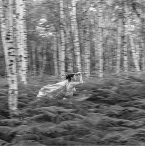 Photography, La lune n'a rien à craindre des loups #23, VAM / Jean-Pierre Gilson