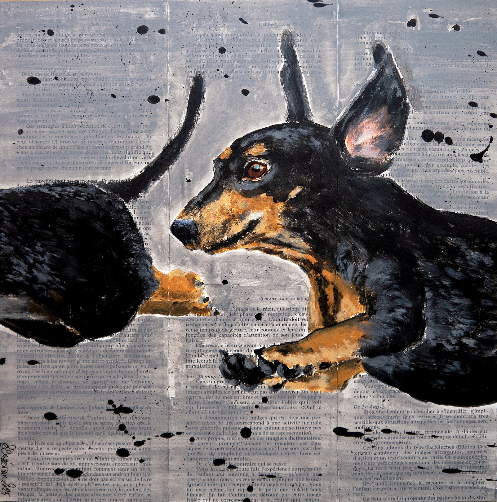Bazévian Delacapucinière, French school super flying Dachshund Where is my body?04 Bazévian Delacapucinière, French school super flying Dachshund Where is my body?04