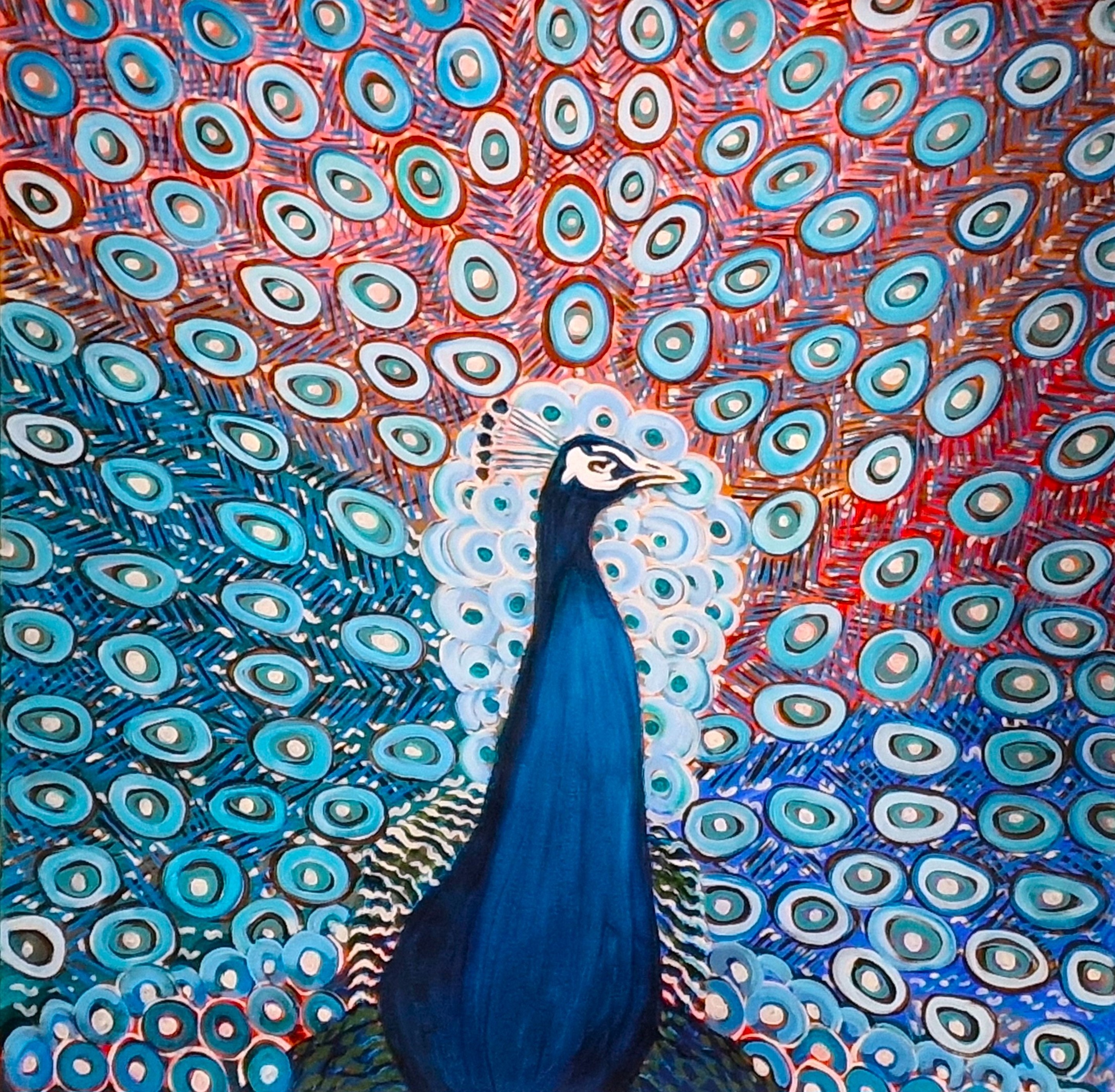 Alexandra Djokic, Peacock Alexandra Djokic, Peacock