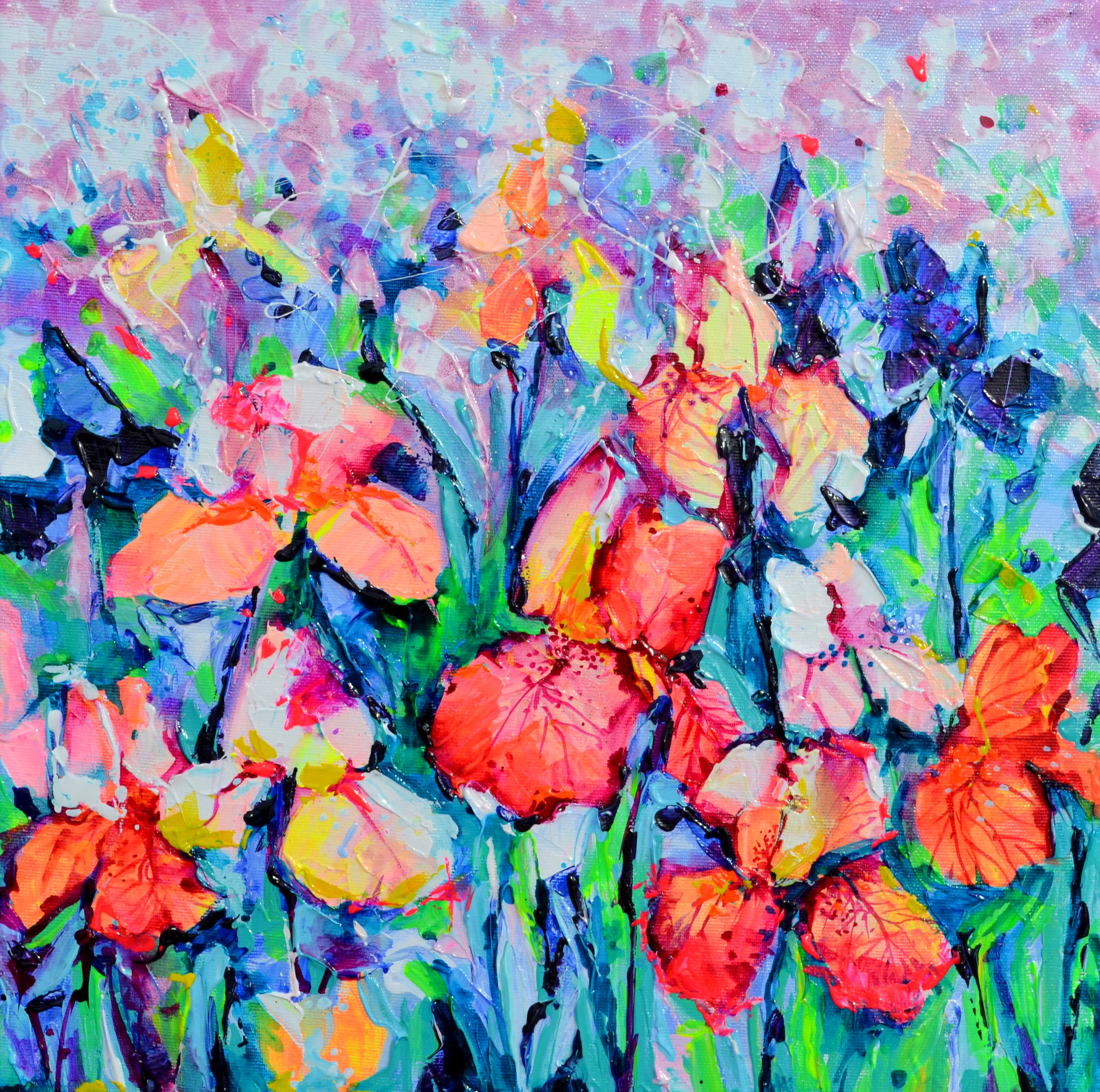 Soos Roxana, Iris Flower Field Soos Roxana, Iris Flower Field