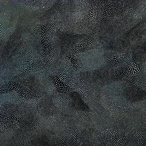 Pittura, Dive in, Mea Ambrozo