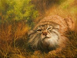 Gemälde, Pallas' cat, Kaiti Deligeorgi