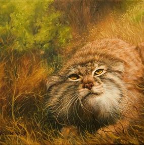 Painting, Pallas' cat, Kaiti Deligeorgi