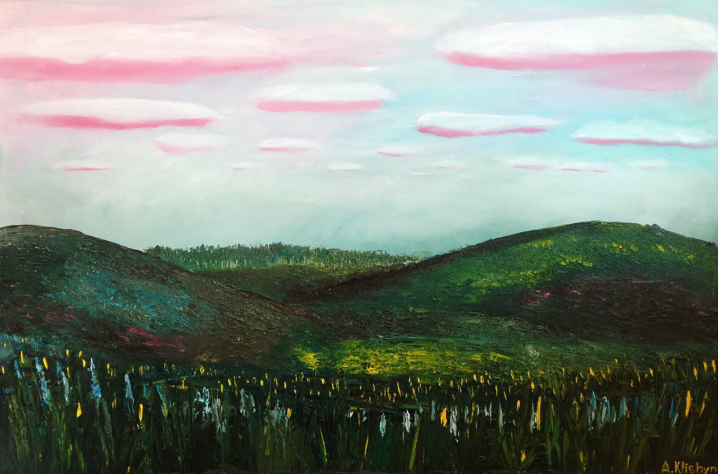 Andriy Klishyn, Magic meadow Andriy Klishyn, Magic meadow