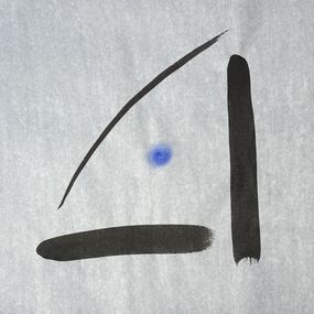 Fine Art Drawings, Infinite randomness V, IV, Björk Viggósdóttir