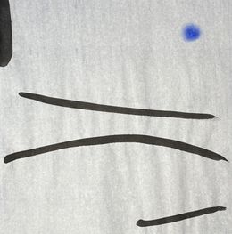 Fine Art Drawings, Infinite randomness V, IX, Björk Viggósdóttir