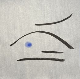 Fine Art Drawings, Infinite randomness V, XII, Björk Viggósdóttir