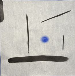 Fine Art Drawings, Infinite randomness V, XIII, Björk Viggósdóttir