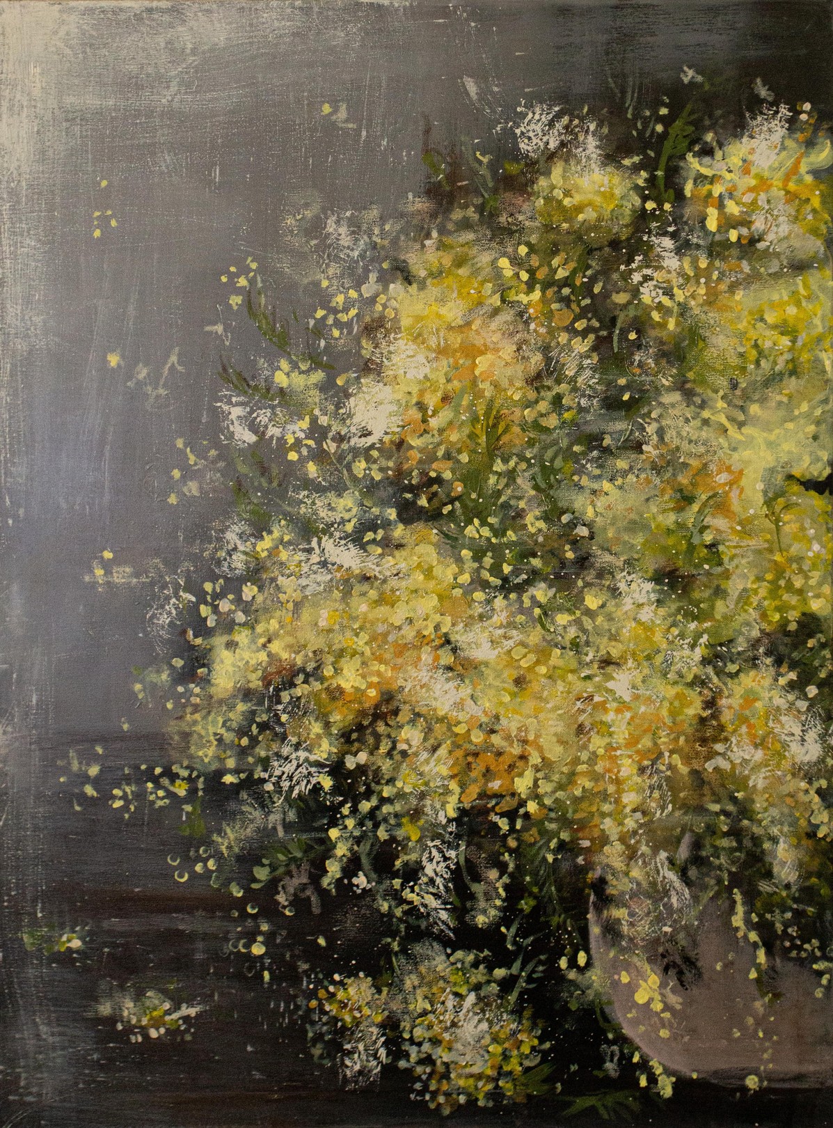 Maiko Kvatchadze, Mimosa Maiko Kvatchadze, Mimosa