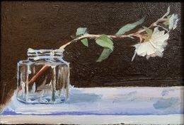 Peinture, Solitary Beauty. White rose flower, Schagen Vita