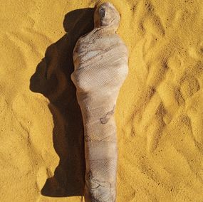 Sculpture, Ramsès II, Damien Berrard
