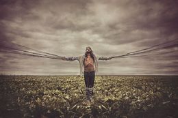 Photography, Inside the web, Idan Wizen