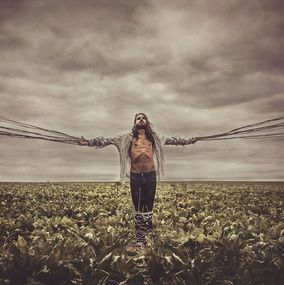 Photography, Inside the web, Idan Wizen