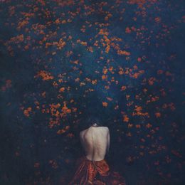 Photography, Removing Petals, Brooke Shaden