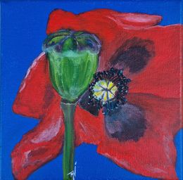 Peinture, Coquelicot, Tani Telas