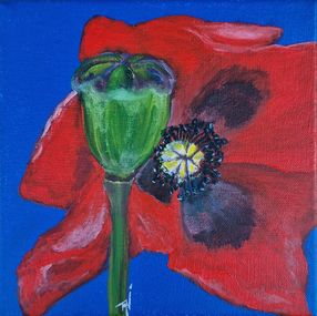 Gemälde, Coquelicot, Tani Telas