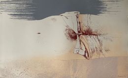 Print, La Faille, Leonardo Cremonini