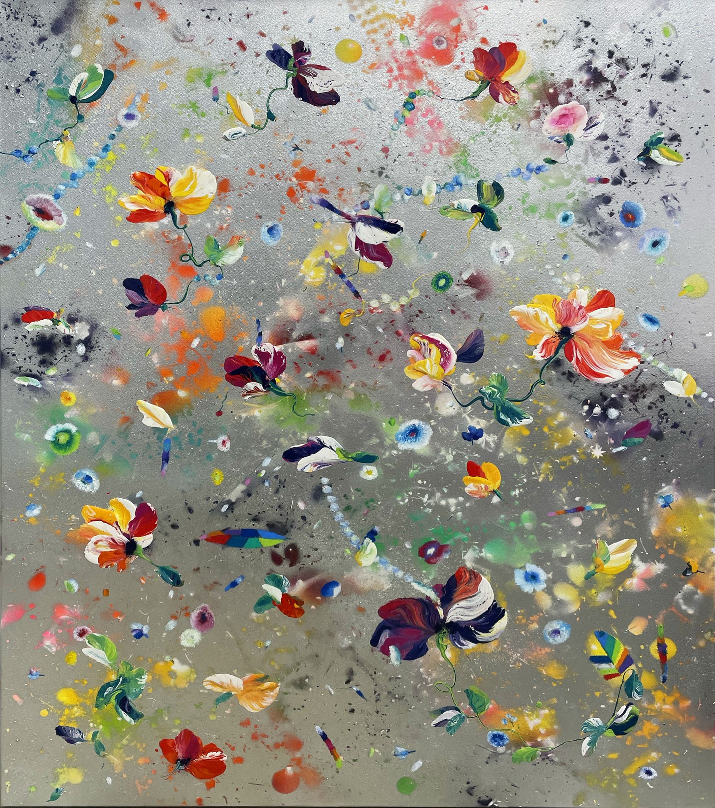 Thierry Feuz, Silver winds Amazone Thierry Feuz, Silver winds Amazone