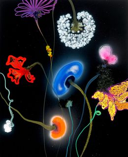 Peinture, Perfect night pompadour, Thierry  Feuz