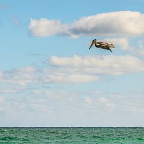 Photography, The Hoverer, Serge Hamad