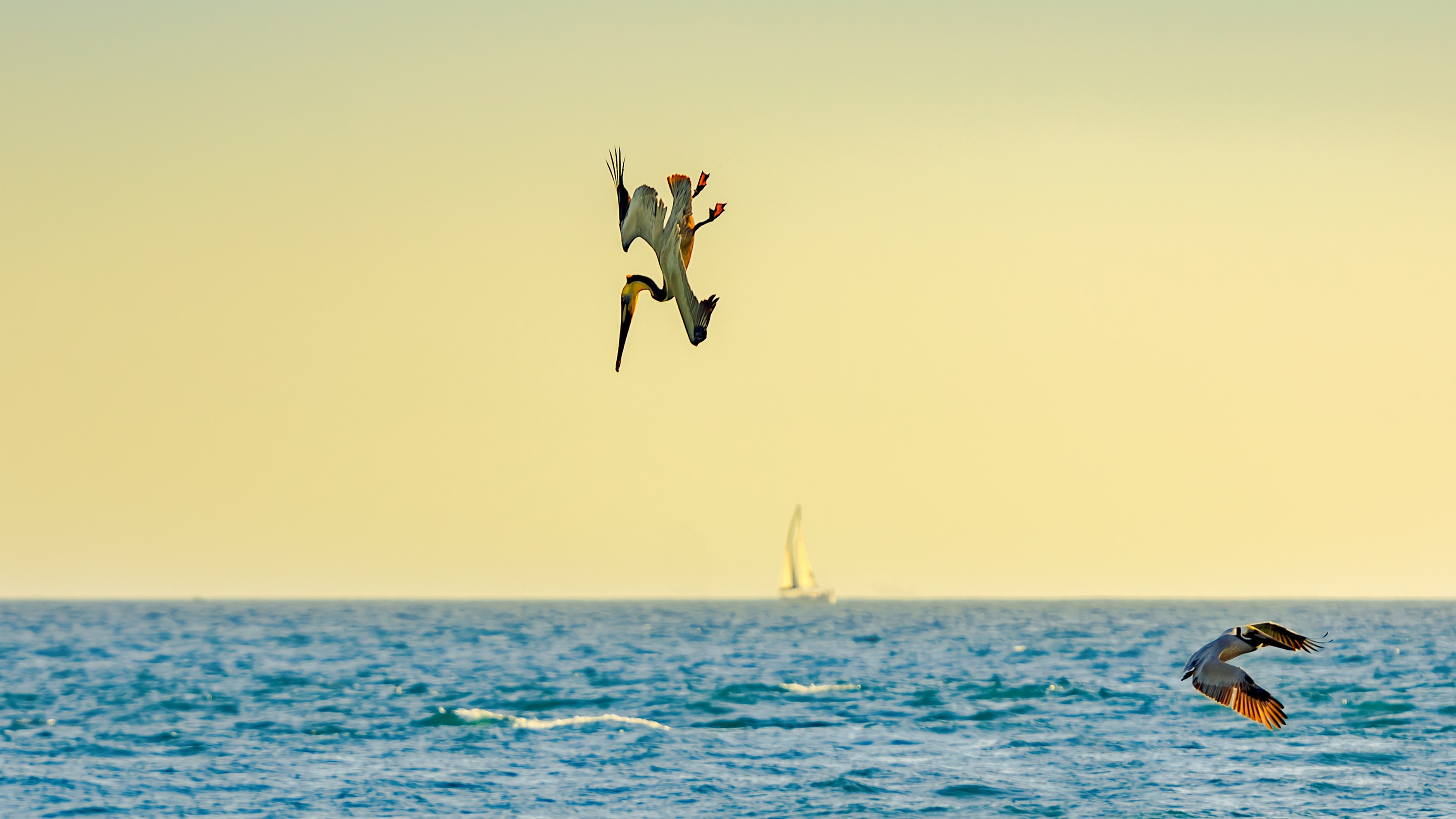 Serge Hamad, The Diver #2 Serge Hamad, The Diver #2