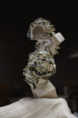 Sculpture, Eomycota, Andy Foley