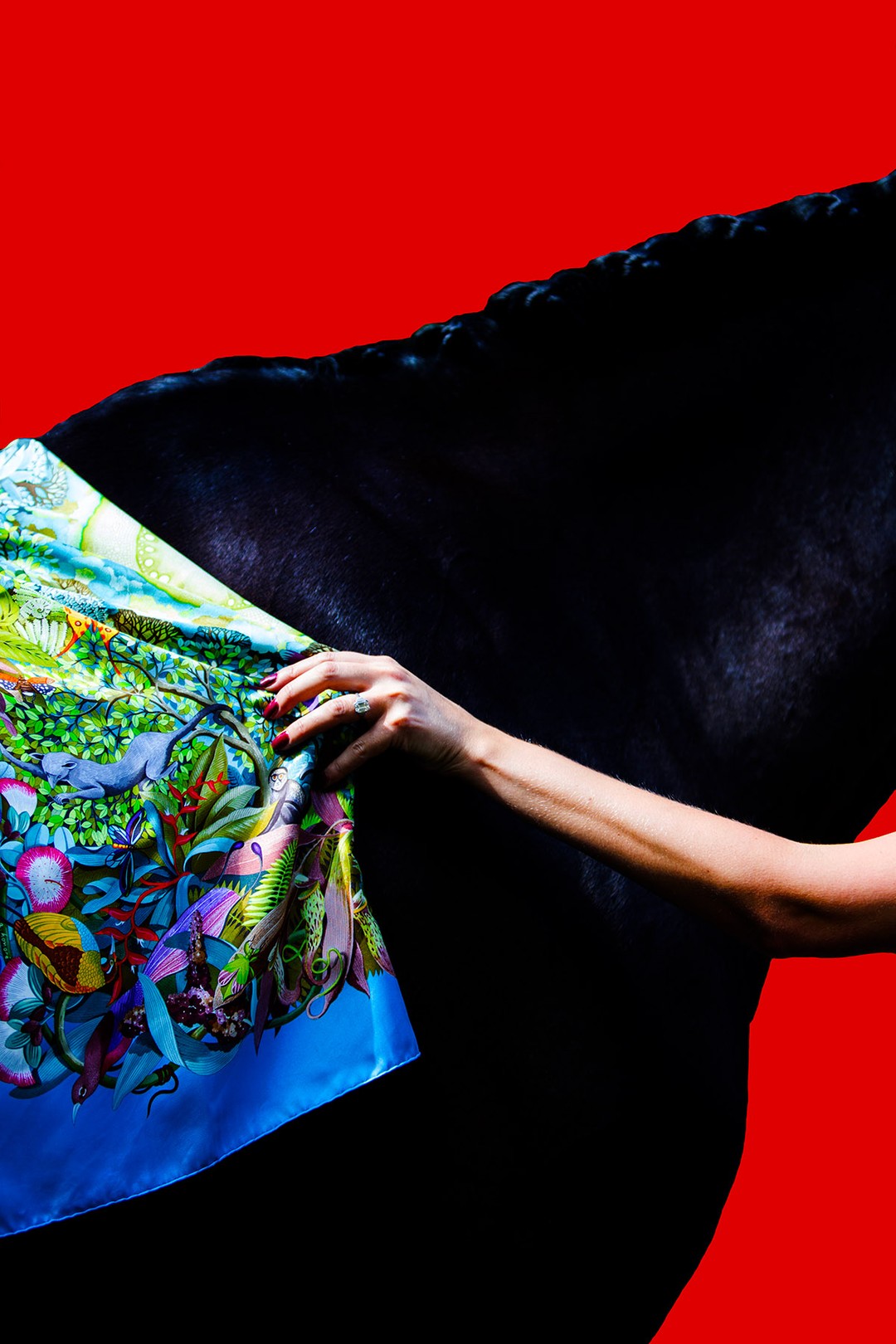 Amrita Bilimoria, A Little Audacious in Red Amrita Bilimoria, A Little Audacious in Red