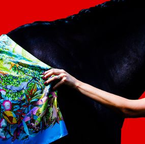 Photography, A Little Audacious in Red, Amrita Bilimoria