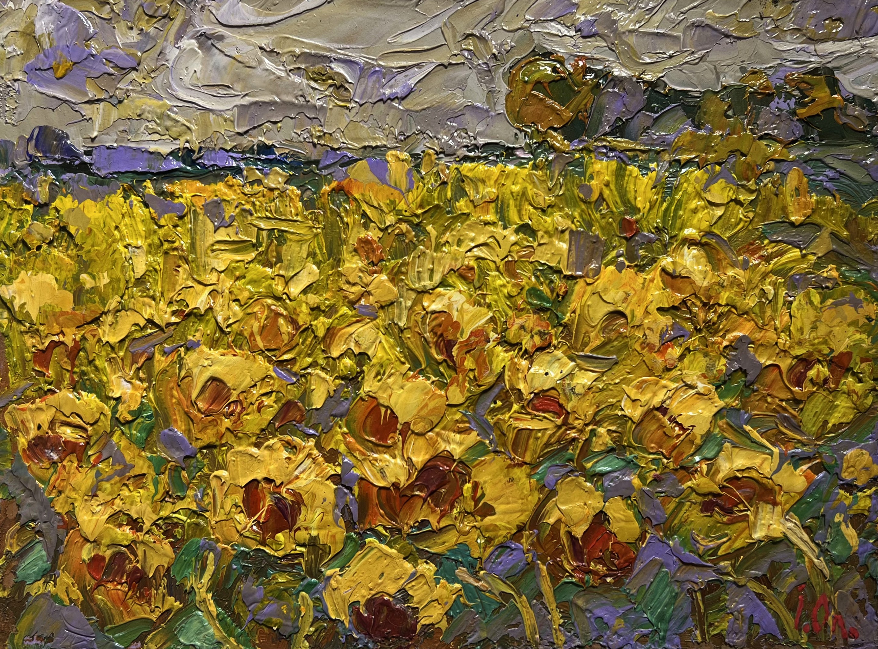 Ivanyuk Oleksiy, Field of sunflowers Ivanyuk Oleksiy, Field of sunflowers