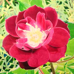 Pintura, Rosa Roja, Manuel Perez