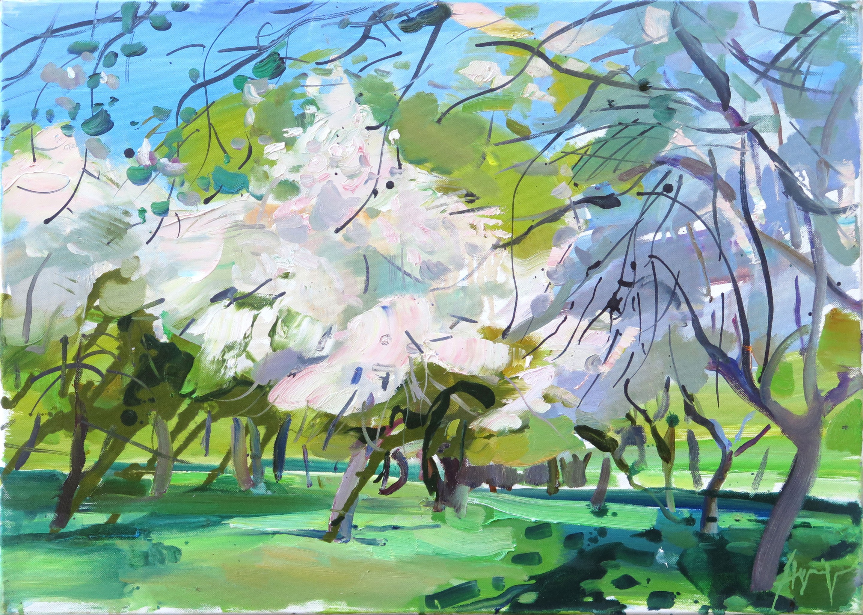 Agnija Germane, Blossoming of apple trees Agnija Germane, Blossoming of apple trees