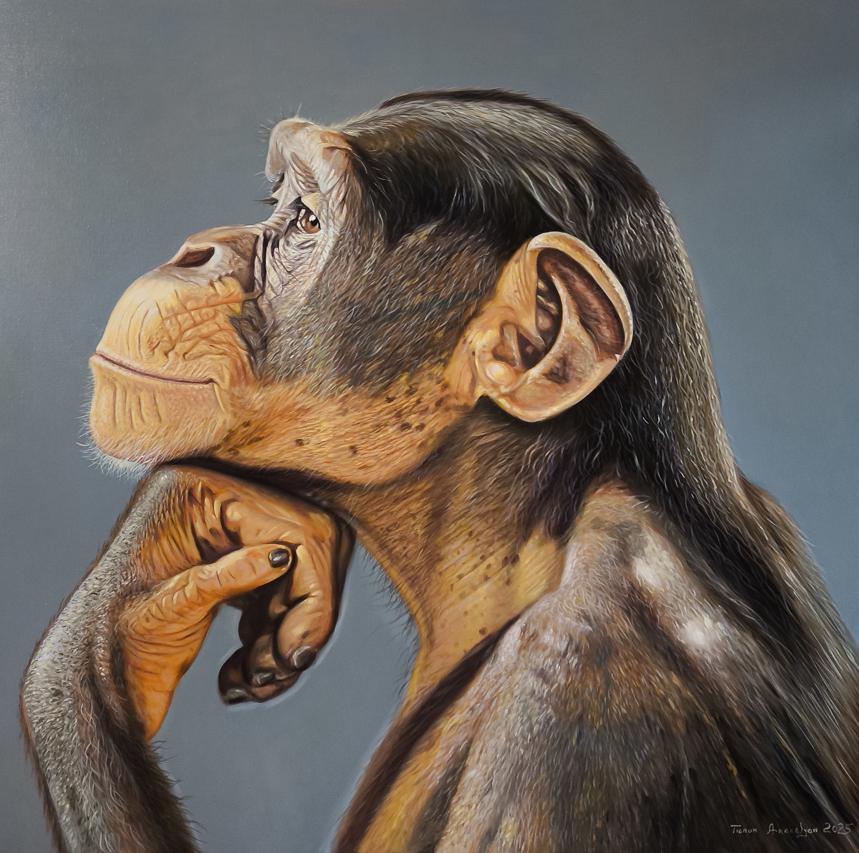 Tigran Araqelyan, Lost in Thoughts Tigran Araqelyan, Lost in Thoughts