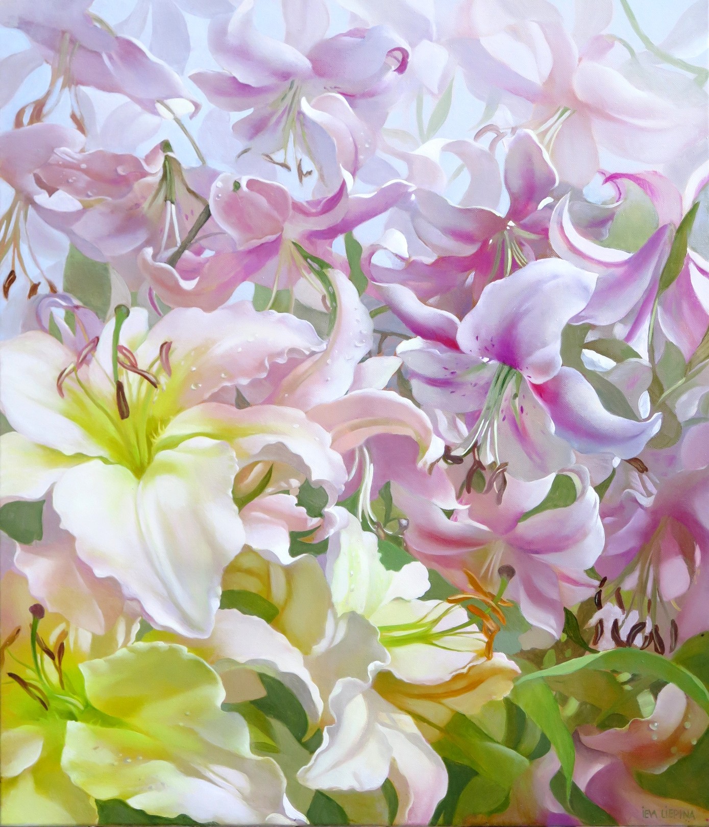 Ieva Liepina, Lilies Ieva Liepina, Lilies