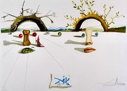 Drucke, Winter and Summer, Salvador Dali