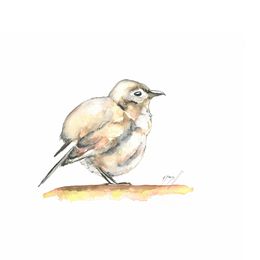 Fine Art Drawings, Notre pioupiou des jardins !, Noël Granger