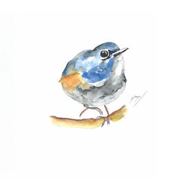 Fine Art Drawings, Notre délicat oiseau bleu !, Noël Granger