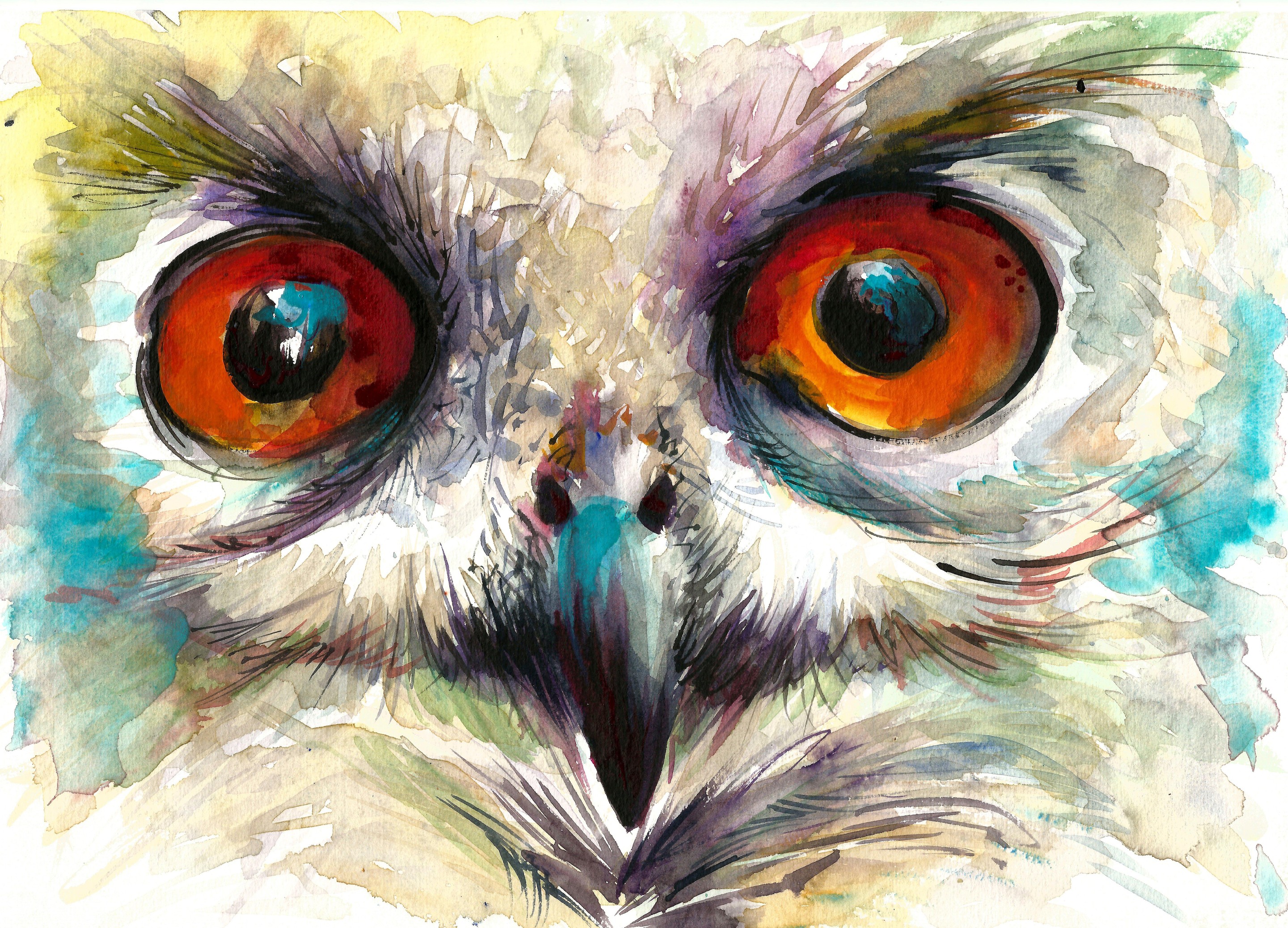 Soos Roxana, Owl Eyes Soos Roxana, Owl Eyes