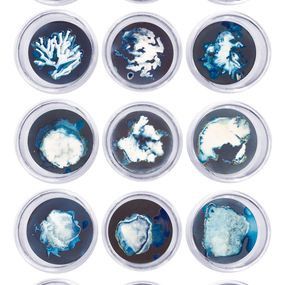 Fotografien, Set of 21 Cyanotype photograhs mounted in high resistance glass dish, Paola Dávila