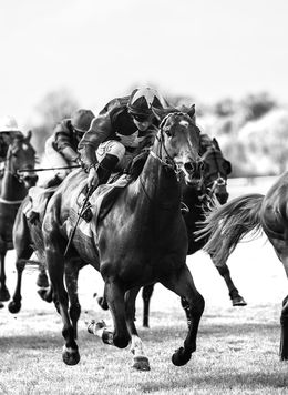 Photography, Horse & Jockey, Amrita Bilimoria
