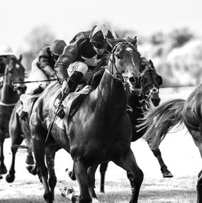 Photography, Horse & Jockey, Amrita Bilimoria