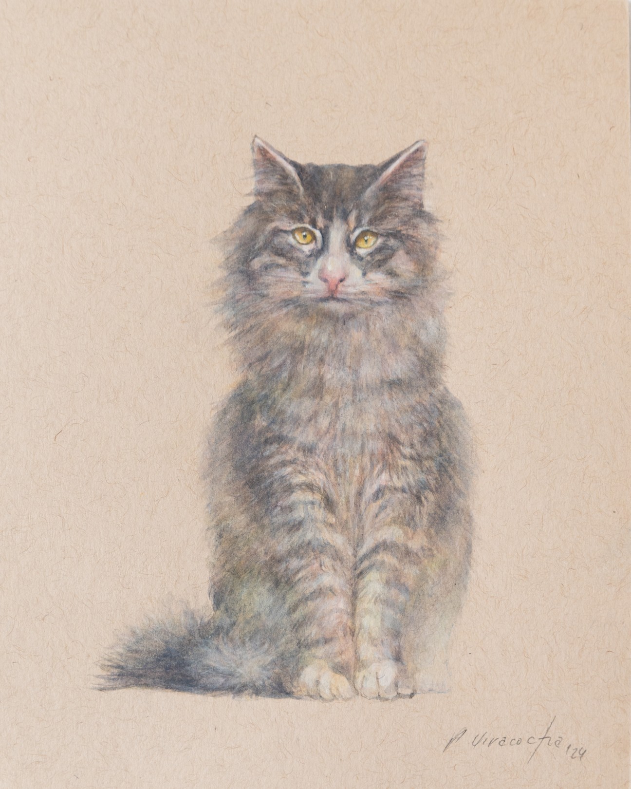 Pablo Viracocha, Kitty Pablo Viracocha, Kitty