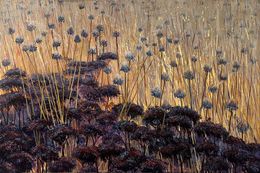 Peinture, Autumn Dream, Katie Brent