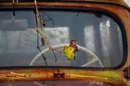 Fotografien, Metalmorphose VIII, Carles Prat-Placis