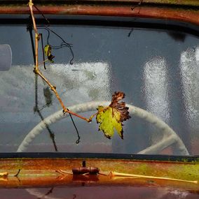 Photography, Metalmorphose VIII, Carles Prat-Placis