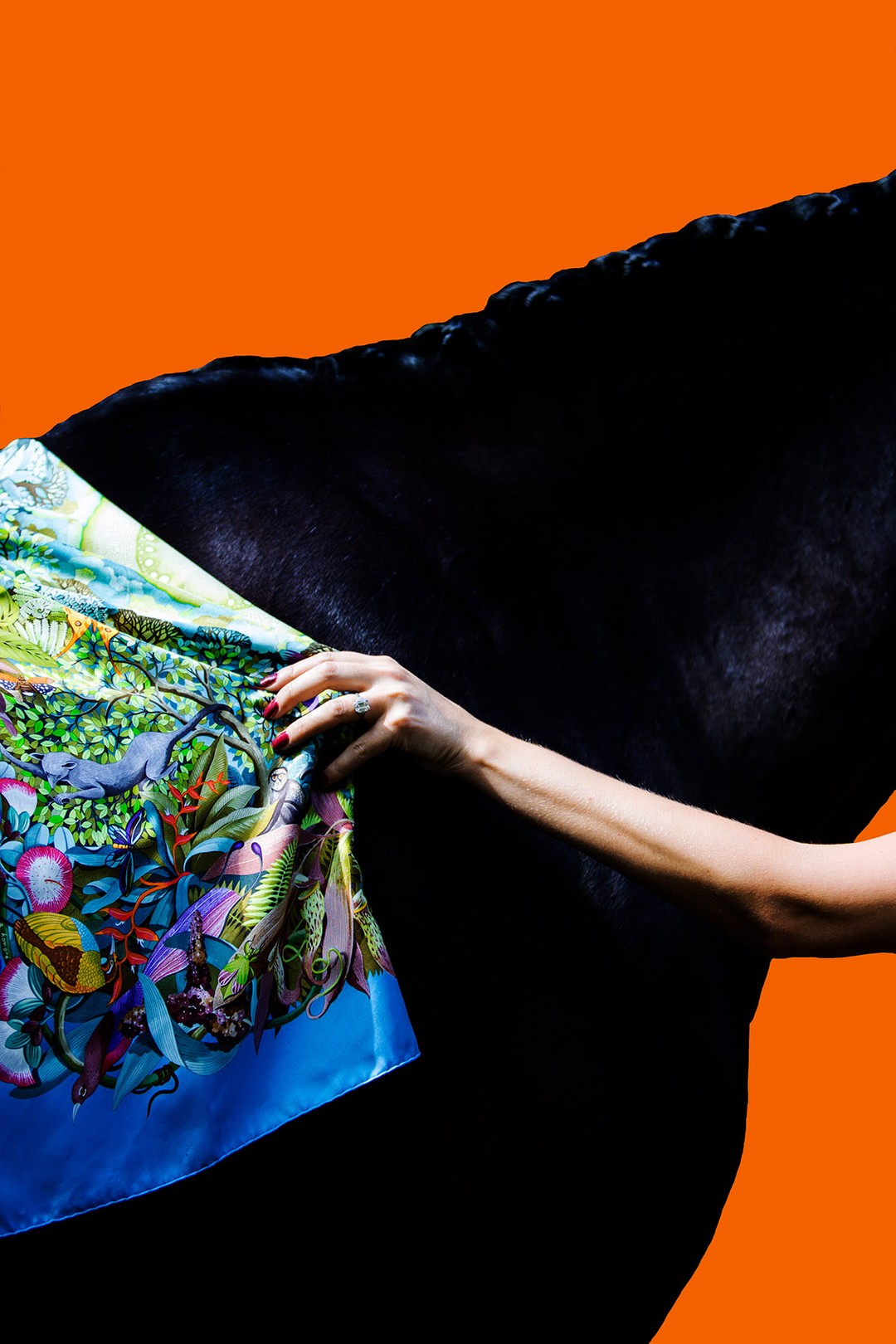 Amrita Bilimoria, A Little Audacious in Orange Amrita Bilimoria, A Little Audacious in Orange