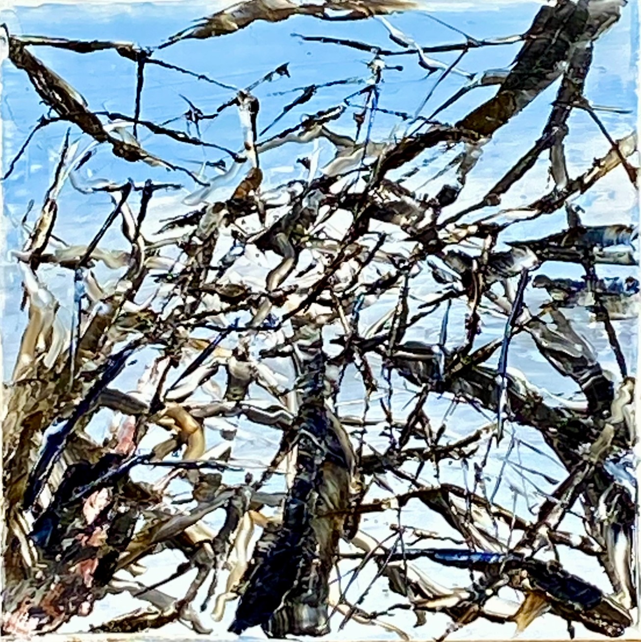 Frank De Blok, Looking up the tree trunks Frank De Blok, Looking up the tree trunks